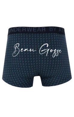 Boxer Beau Gosse -