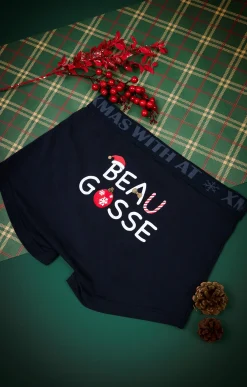 Boxer beau gosse -