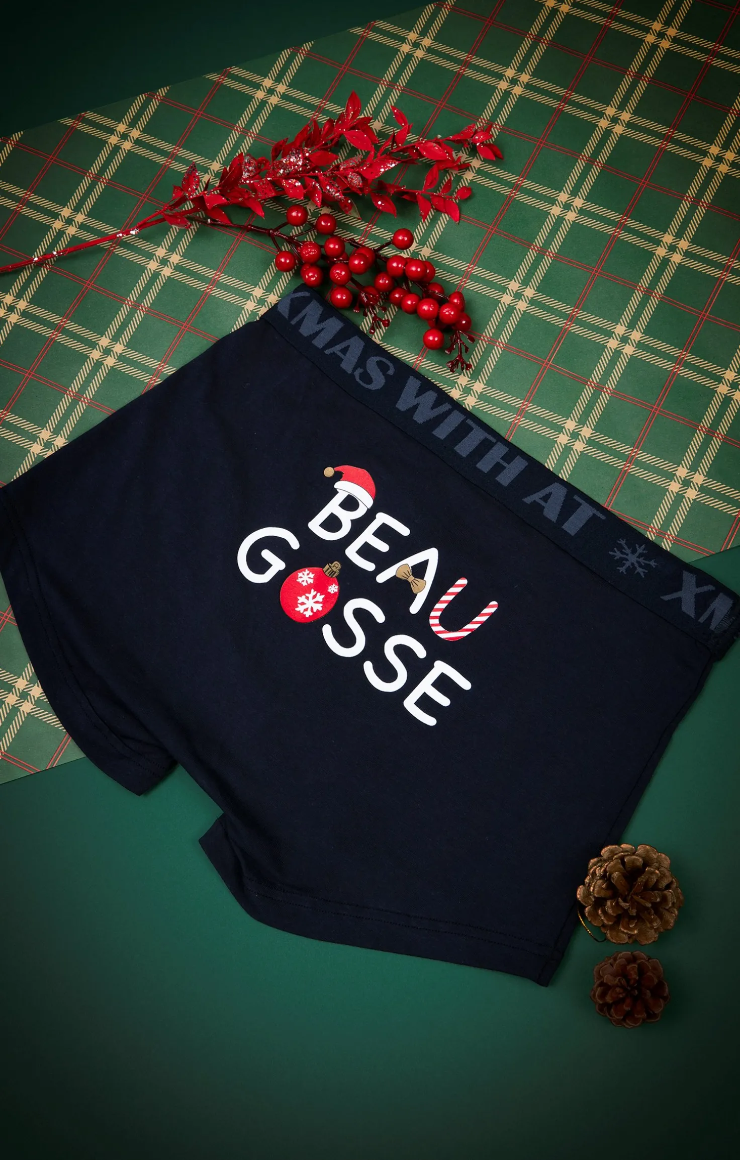 Boxer beau gosse -