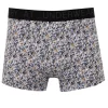Boxer Jenny -