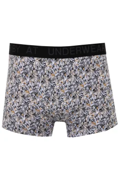 Boxer Jenny -