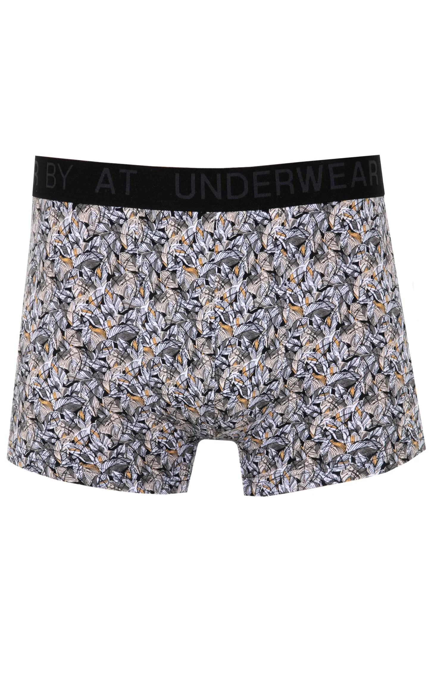 Boxer Jenny -