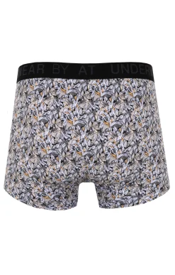 Boxer Jenny -