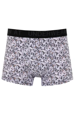 Boxer Marcus -
