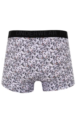 Boxer Marcus -