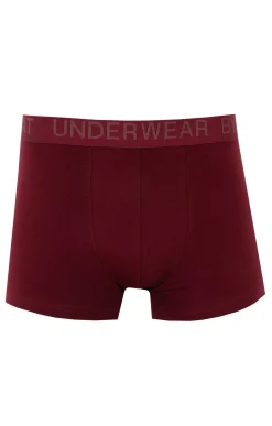 Boxer Perfection -