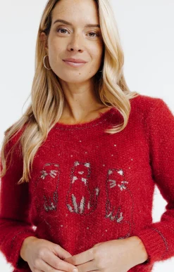 Pull broderie chat -