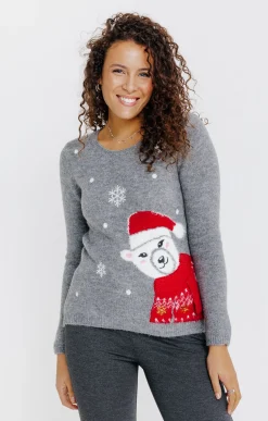 PULL DE NOEL -