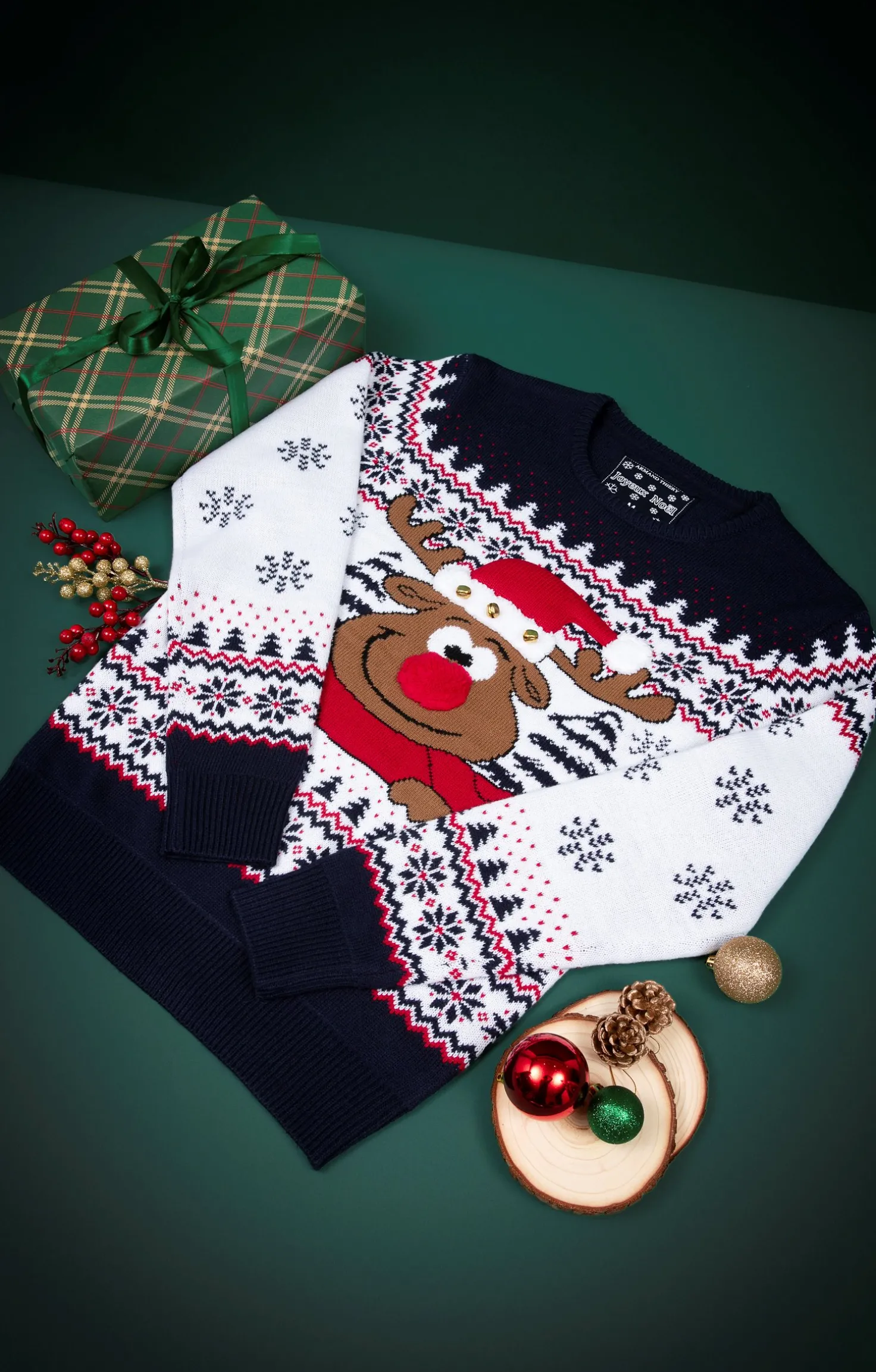 Pull de Noël CERF -