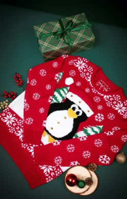 Pull Noël PING -