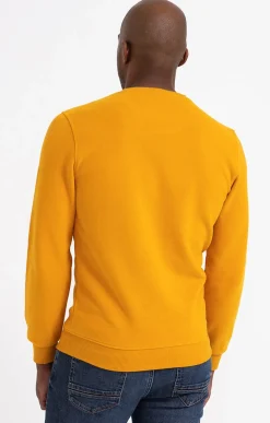 Sweat manches longues Dolce -